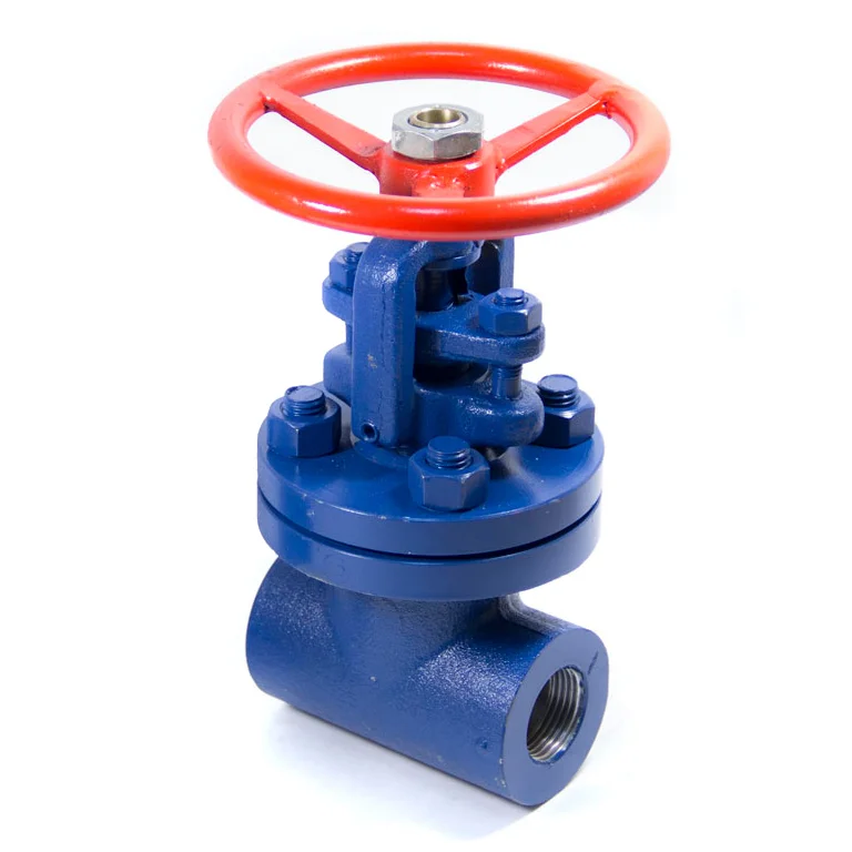 Стальная муфтовая задвижка 25 мм 2.5 МПа 30с99нж 09Г2С