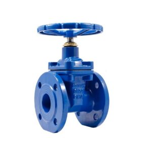 Задвижка с обрезиненным клином 50 мм 1.6 МПа 30ч39р ВЧ50